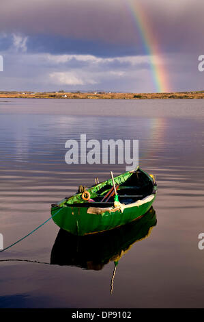 Ardara, County Donegal, Irland. 9. Januar 2014. Ruhig aber immer noch Regenwetter an Irlands Atlantikküste, die schwere in den letzten Stürme Schäden. Foto von: Richard Wayman/Alamy Live-Nachrichten Stockfoto