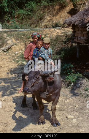 Vietnamesische jungen Reiten einen Wasserbüffel in einem Minderheit Dorf in der Nähe von SaPa, Vietnam Stockfoto