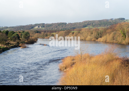 Das Tal des Flusses Tyne Blick nach Westen von Corbridge, Northumberland, Nord-Ost England UK Stockfoto