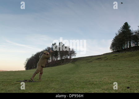 Schützen, trug mit 12 Schrotflinte, auf einem Fasan schießen in den Yorkshire Dales, UK. Stockfoto