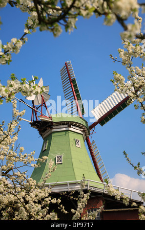 Altes Land, Windmühle VENTI AMICA in Twielenfleth in der Nähe von Stade, Niedersachsen, Deutschland Stockfoto