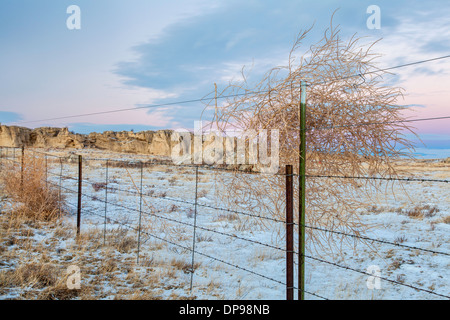 Winter-Dämmerung über Prairie in northern Colorado mit Rinder-Zaun mit Tumbleweed zu beruhigen Stockfoto