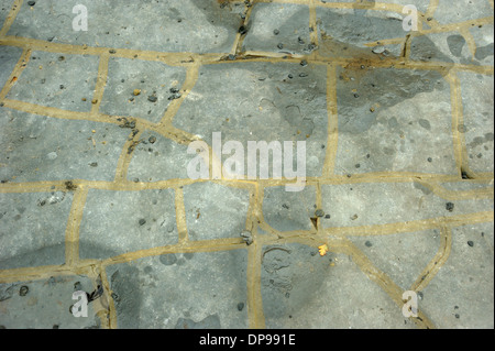 Bemerkenswerte Pflasterung-ähnliche Schichten am Lavernock Punkt, Färbung rund um den Riss aussieht zeigen Stockfoto