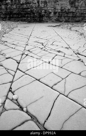 Bemerkenswerte Pflasterung-ähnliche Schichten am Lavernock Punkt Stockfoto