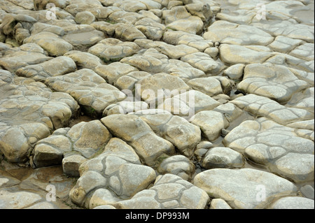 Bemerkenswerte Pflasterung-ähnliche Schichten am Lavernock Punkt Stockfoto