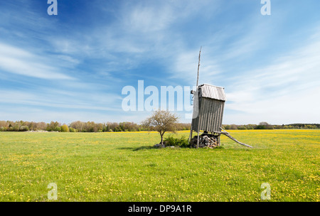 Alte verlassene hölzerne Windmühle auf Wiese in Saaremaa, Estland. Stockfoto