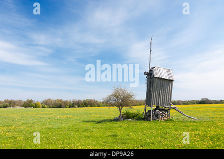 Alte verlassene hölzerne Windmühle auf Wiese in Saaremaa, Estland. Stockfoto