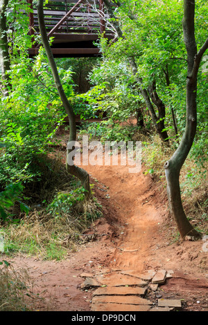 Einen gewundenen Gang in einem Waldgebiet im Oklahoma City Park. Stockfoto