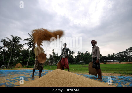 28. Mai 2013 - Jirania, Tripura, Indien - Bauern sind Staub und unerwünschte Dinge aus Reis in Jirania, 10 km entfernt von Agartala Stadt Reinigung. Das Rice Research Board finanziert mehrere Forschungsprojekte von 1979 bis 1983, wirtschaftliche finden für Reisstroh verwendet. Das Hauptziel dieser Projekte war zu verringern oder zu beseitigen Reisstroh verbrennen als Mittel zur Verfügung. Verwendungen für Stroh, die untersuchten enthalten Futtermittel, Herstellung von Faserplatten, Energieerzeugung, Umwandlung in Zucker Sirup und Hefe Protein und Herstellung von Zellstoff für Papier und für verschiedene industrielle Produkte. (Kredit-Bild: © Abhi Stockfoto