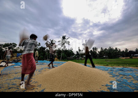 28. Mai 2013 - Jirania, Tripura, Indien - Bauern sind Staub und unerwünschte Dinge aus Reis in Jirania, 10 km entfernt von Agartala Stadt Reinigung. Das Rice Research Board finanziert mehrere Forschungsprojekte von 1979 bis 1983, wirtschaftliche finden für Reisstroh verwendet. Das Hauptziel dieser Projekte war zu verringern oder zu beseitigen Reisstroh verbrennen als Mittel zur Verfügung. Verwendungen für Stroh, die untersuchten enthalten Futtermittel, Herstellung von Faserplatten, Energieerzeugung, Umwandlung in Zucker Sirup und Hefe Protein und Herstellung von Zellstoff für Papier und für verschiedene industrielle Produkte. (Kredit-Bild: © Abhi Stockfoto