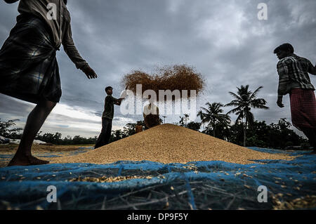 28. Mai 2013 - Jirania, Tripura, Indien - Bauern sind Staub und unerwünschte Dinge aus Reis in Jirania, 10 km entfernt von Agartala Stadt Reinigung. Das Rice Research Board finanziert mehrere Forschungsprojekte von 1979 bis 1983, wirtschaftliche finden für Reisstroh verwendet. Das Hauptziel dieser Projekte war zu verringern oder zu beseitigen Reisstroh verbrennen als Mittel zur Verfügung. Verwendungen für Stroh, die untersuchten enthalten Futtermittel, Herstellung von Faserplatten, Energieerzeugung, Umwandlung in Zucker Sirup und Hefe Protein und Herstellung von Zellstoff für Papier und für verschiedene industrielle Produkte. (Kredit-Bild: © Abhi Stockfoto