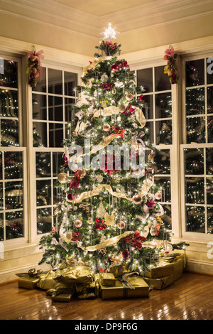 Weihnachtsbaum Stockfoto