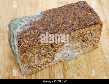 Ein Viertel der Vollkorn Brot verschimmelt an Bord Stockfoto