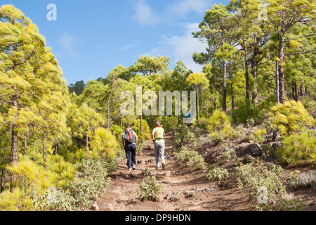 Weibliche Wanderer im Parque natural de Tamadaba (ca. 1400m) auf Gran Canaria, Kanarische Inseln. Spanien Stockfoto