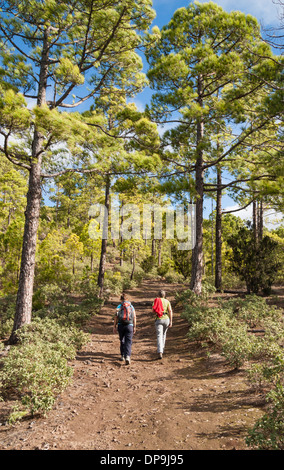 Weibliche Wanderer im Parque natural de Tamadaba (ca. 1400m) auf Gran Canaria, Kanarische Inseln. Spanien Stockfoto