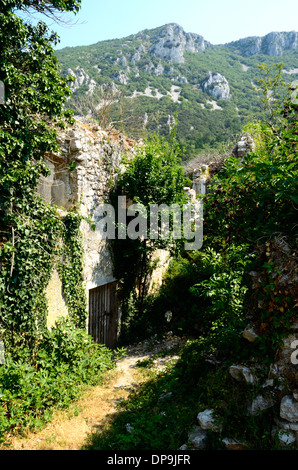 Plomin Istrien Kroatien alte Fischer Dorf details Stockfoto