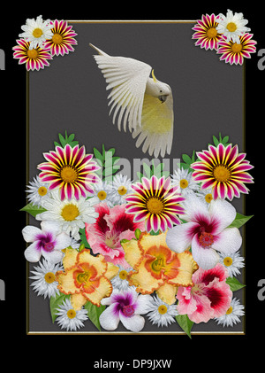 Spektakuläre Blumenkunst - Cluster von leuchtend bunten Frühlingsblumen vor grauem Hintergrund mit Kakadu vorbeifliegen Stockfoto