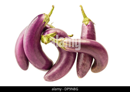 lila Aubergine isoliert auf weißem Hintergrund. Stockfoto