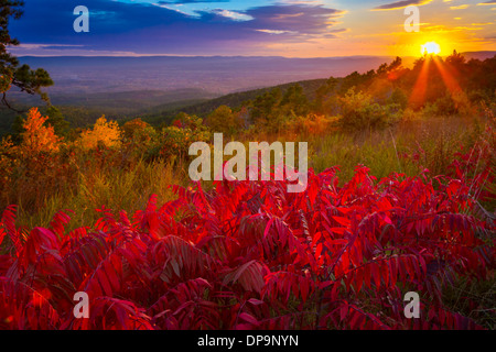 Der Talimena Scenic Drive ist eine National Scenic Byway in southeastern Oklahoma und extremen westlichen Arkansas Stockfoto