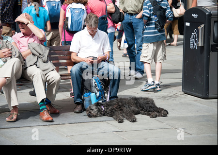 Müde, Hund zu Füßen des Mannes auf Bank in heißen Sonne schlafen Stockfoto