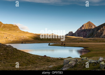 Pico Culivillas in der Abendsonne, Spiegelbild im See Ibones de Anayet in den spanischen Pyrenäen Stockfoto