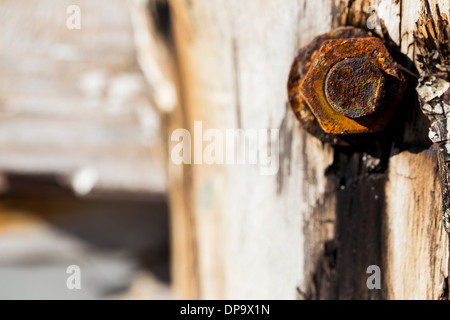 Rostige Schraube-Mutter-detail Stockfoto