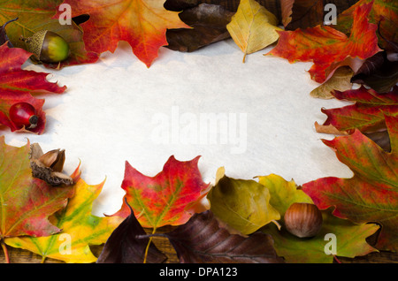 Ein Rahmen von bunten Herbst Blätter und Wind fallen, Nüssen und Beeren rund um weiße strukturiertem Papier, mit textfreiraum für text Stockfoto