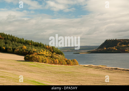 Herbstfärbung bei Munlochy Bay Stockfoto