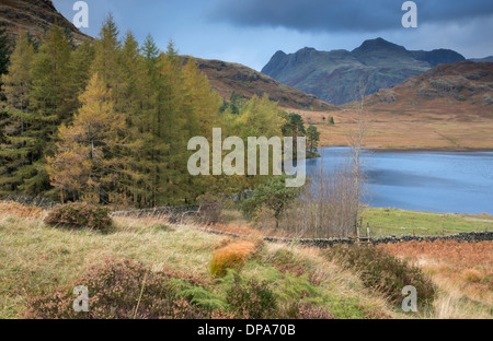 Ein herbstlicher Blick auf Blea Tarn, Lake District, Cumbria, England Stockfoto