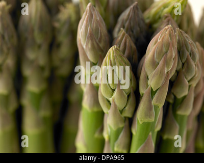 Spargel Stockfoto