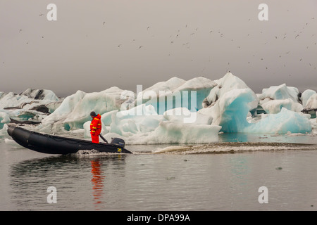 Mann im Motorboot - jokulsarlon Lagune, Gletschersee, Island. Stockfoto