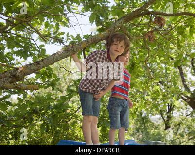 Jungen sitzen auf dem Dach des Baumhaus Stockfoto