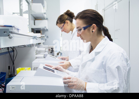 Biologiestudenten, die Arbeiten im Labor Stockfoto