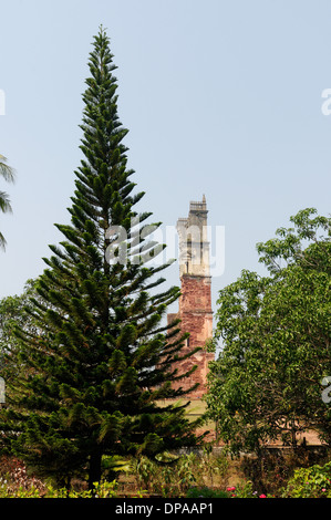 Turm von St. Augustin, Teil der zerstörten Kirche der Muttergottes von Grace am Tiswadi, Old Goa, India Stockfoto