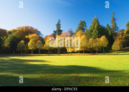 Die Gärten von Crathes Castle im Herbst, in der Nähe von Banchory, Deeside, Aberdeenshire, Schottland. Stockfoto