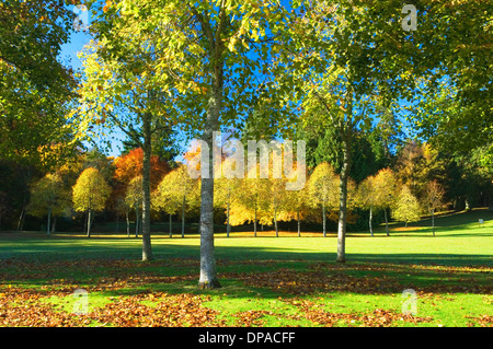 Die Gärten von Crathes Castle im Herbst, in der Nähe von Banchory, Deeside, Aberdeenshire, Schottland. Stockfoto