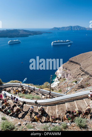 Esel Futter die Treppe vom alten Hafen, das Dorf Fira auf der griechischen Insel Santorin. Stockfoto