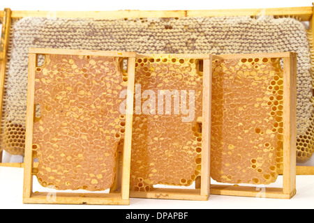 Waben mit Honig. Bild isoliert auf weißem Hintergrund. Stockfoto