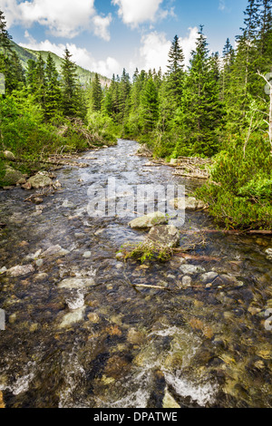 Kristallklares Wasser aus den Bergen Stockfoto