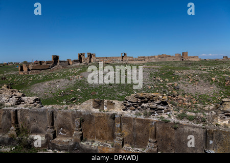 Blick auf Mauern von Ani von King Gagik's Church of St. Gregory, Ani, Türkei Stockfoto