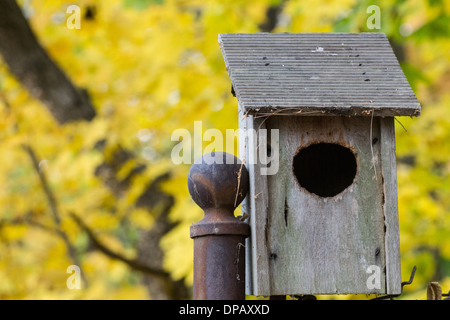 Vogelhaus im Arnold Arboretum in Boston, Massachusetts Stockfoto