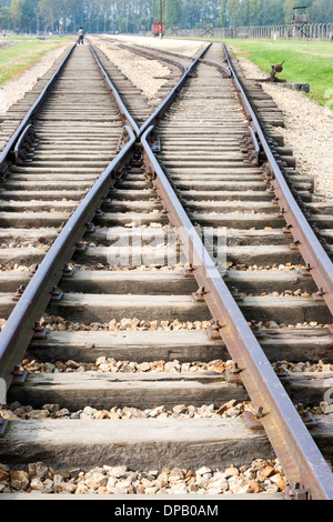 Railroad tracks mit gelben Rosen links als Mahnmal für Opfer, die kamen mit dem Zug in das KZ Auschwitz II, Polen Stockfoto