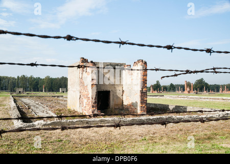 Stacheldrahtzaun und Ruinen der ehemaligen Baracke Gehäuse, KZ Auschwitz II Birkenau, Oswiecim, Polen, Europa Stockfoto