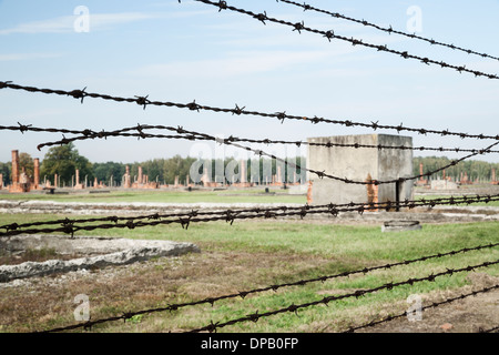 Stacheldrahtzaun und Ruinen der ehemaligen Baracke Gehäuse, KZ Auschwitz II-Birkenau Stockfoto