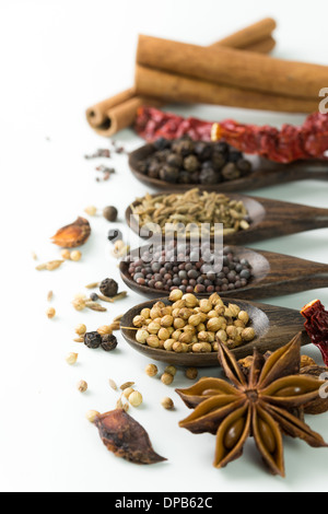 Eine Auswahl verschiedener Gewürze zum Kochen Stockfoto