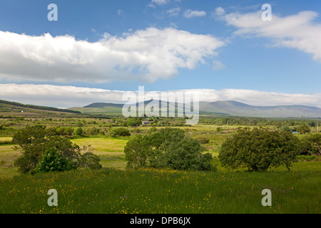Landschaft auf der Iveragh-Halbinsel, Co. Kerry, Irland Stockfoto