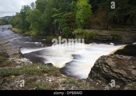 Aysgarth Lower Falls, North Yorkshire, England. Stockfoto