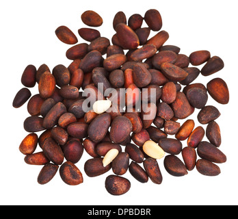 viele der Zedernnüsse isoliert auf weißem Hintergrund Stockfoto