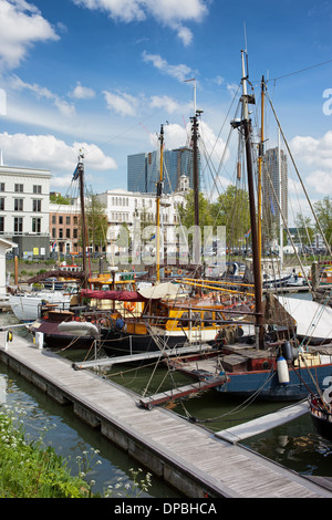 Segelboote vertäut im Hafen in die Innenstadt von Rotterdam, Zuid-Holland, Niederlande. Stockfoto