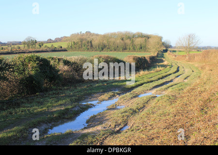 Alten fuhr weg von Longstock in Richtung Danebury Hill, in der Nähe von Stockbridge, Hampshire, UK Stockfoto